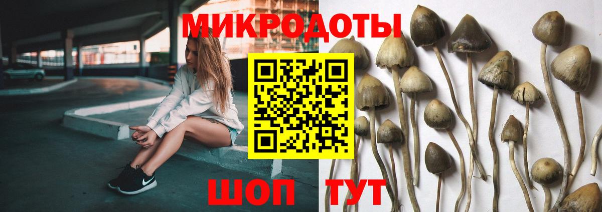 Кингисепп  Галлюциногенные грибы GOLDEN TEACHER  Вход с VPN 