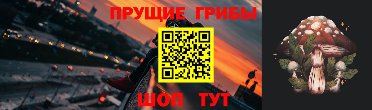 Галлюциногенные грибы ЛСД Кингисепп